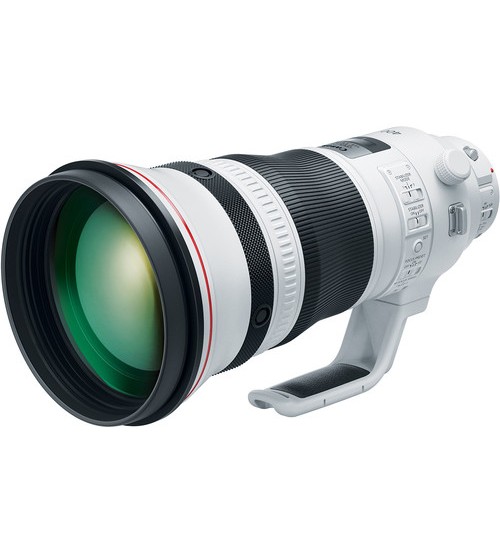 Canon EF 600mm f/4L IS III USM Lens